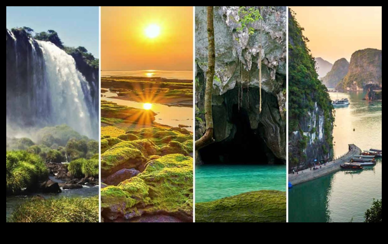 Wilderness Wonders Dabas slēpto dārgakmeņu ceļvedis Izpētiet satriecošākos un nomaļākos dabas brīnumus visā pasaulē. 5 Wilderness Wonders: ceļvedis dabas slēptajiem dārgakmeņiem