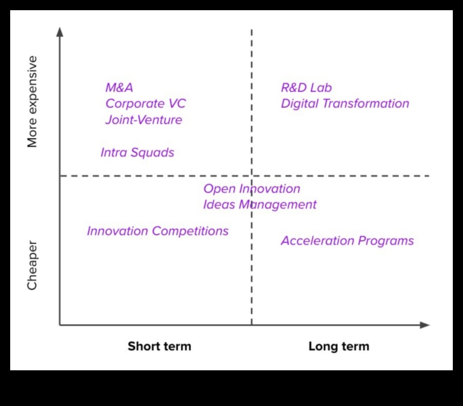 Pāri tradicionālajām robežām: inovācijas uzņēmējdarbības vadībā
