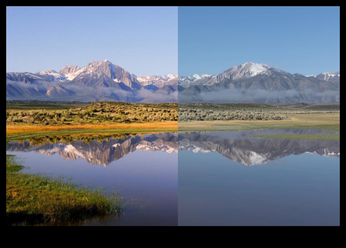 Kinematogrāfiska krāsa: kameras ar profesionālām krāsu vērtēšanas iespējām