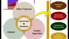Embodied Mindfulness: Apziņas attīstīšana caur kustību